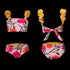 BAMBA BIKINI