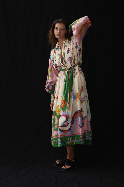 Seeker Shirtdress